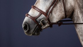 Dyon Double Noseband Doppelnasenriemen Braun / EXTRA LARGE