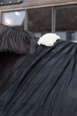 Kentucky Leichte Mesh Fliegendecke schwarz