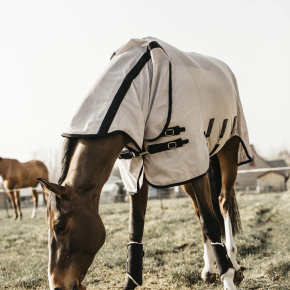 Kentucky Fliegendecke mit Halsteil