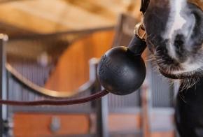 Kentucky Strick- und Wandschutz Ball