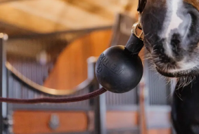 Kentucky Strick- und Wandschutz Ball schwarz