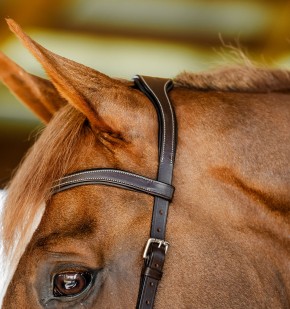 Horseware Micklem Competition Bridle Dark Havana Full