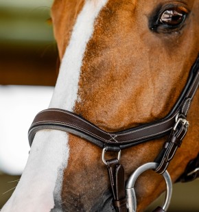 Horseware Micklem Competition Bridle Dark Havana Full